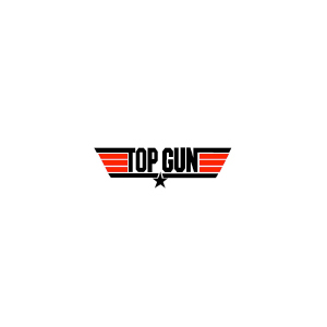 Auto Transportes Urbanos Topgun