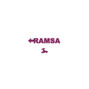 Ramírez Mayoristas S.A. de C.V