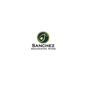 Sánchez Aguacates Hass