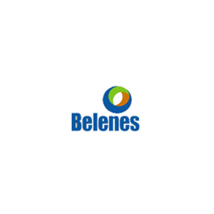 Los Belenes Y Asociados S.C.