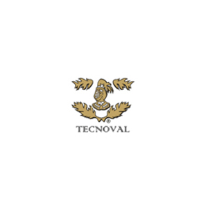 Tecnoval de México
